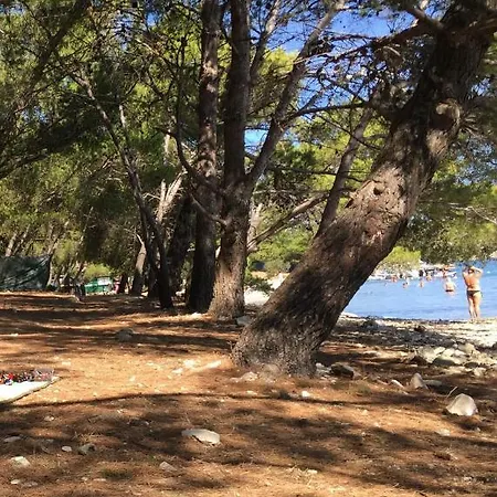 Bilocale Voila Pula